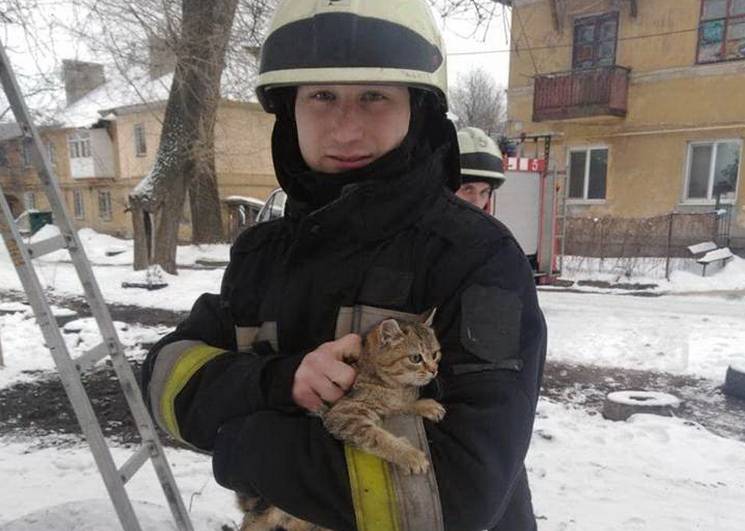 У Дніпрі рятувальники зняли кота, що про…