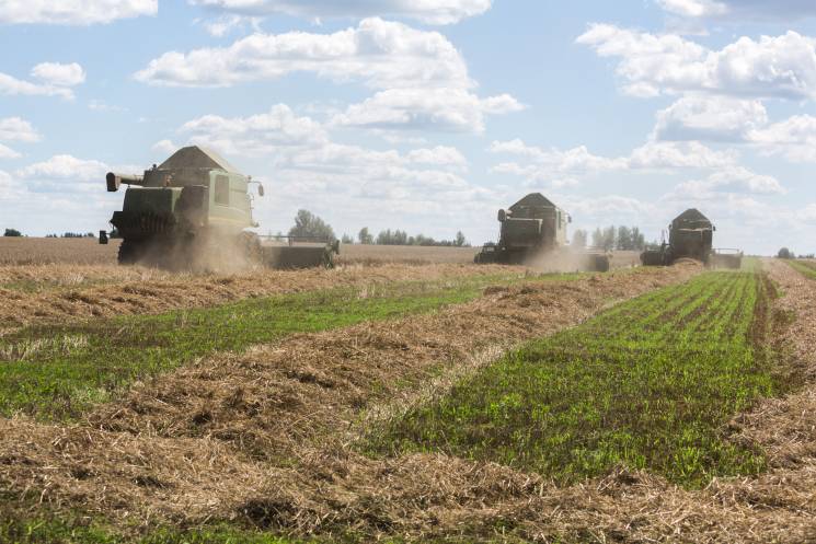 Проблема зневоднення ґрунту на півдні Ук…