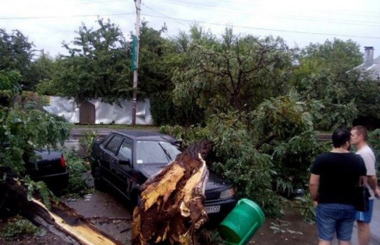 У Харкові зламані дерева впали на авто…