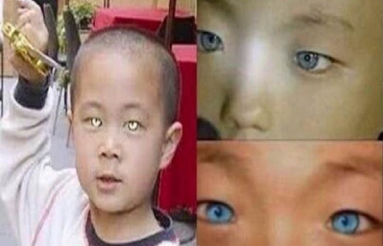 Маленький китаец имеет глаза, как у кошк…
