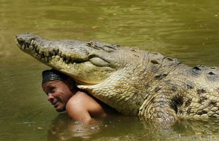 Как огромный крокодил "прикипел" к своем…
