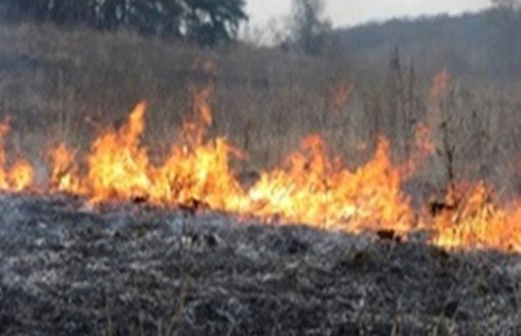 На Одещині вигоріло 24 гектара очерету т…
