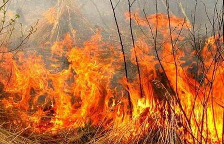 В розпал лісових пожеж в Якімівському ра…