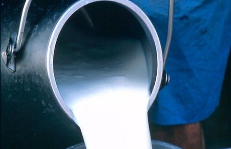 Тернопільський молокозавод зливає молочн…