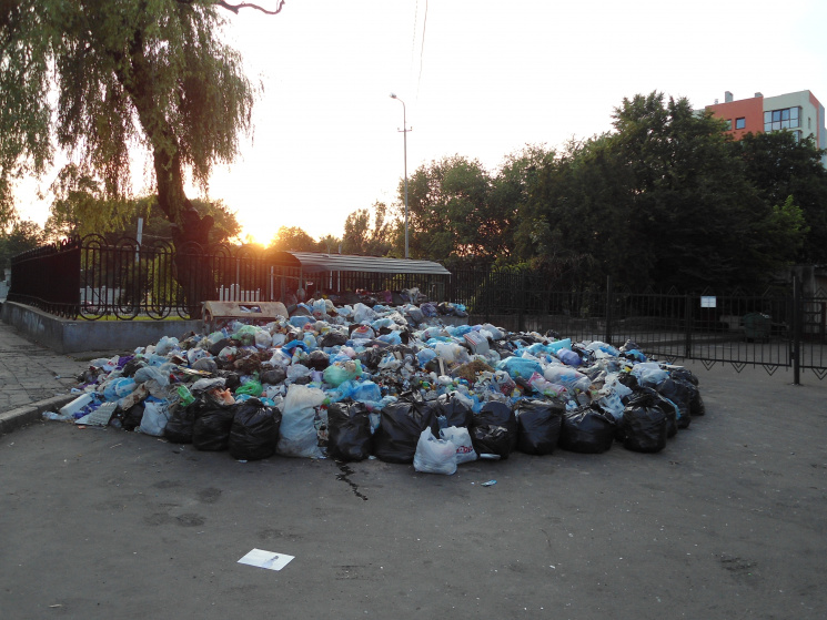 Як сміття Садового рятує львівських діте…
