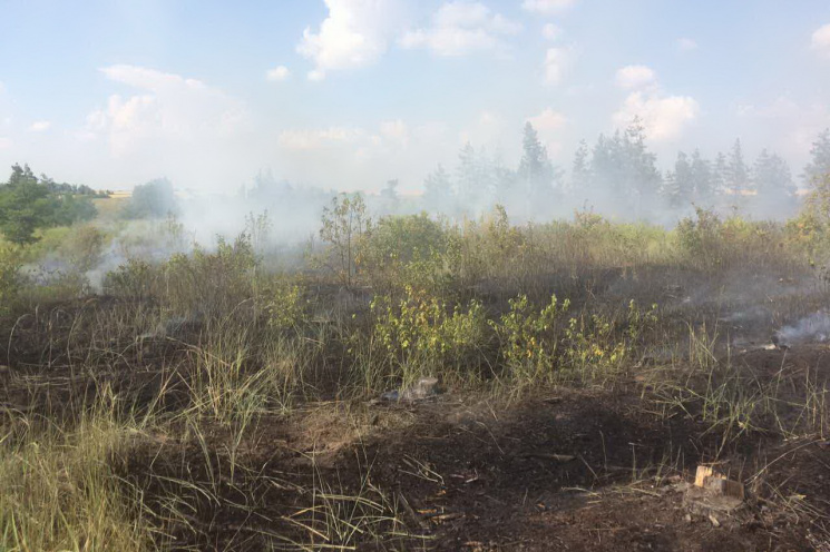 "Трав&#039;яні" пожежі на Харківщині вин…