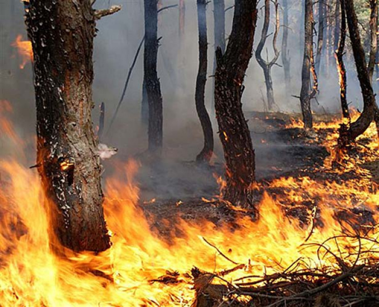 На Миколаївщині палає суха трава…