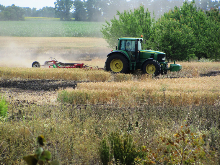 На Черкащині горять пшеничні поля…