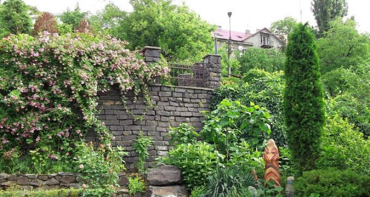 У ботанічному саду Ужгорода відкрили нав…