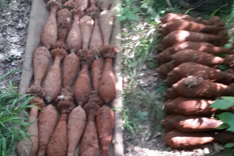 На Харьковщине взорвали полсотни мин…