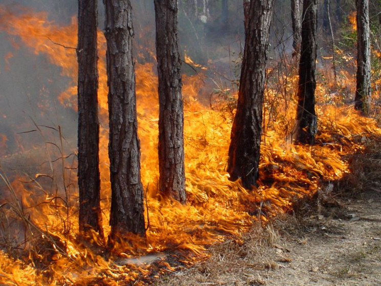 Харьковчан предупредили о пожароопасных…