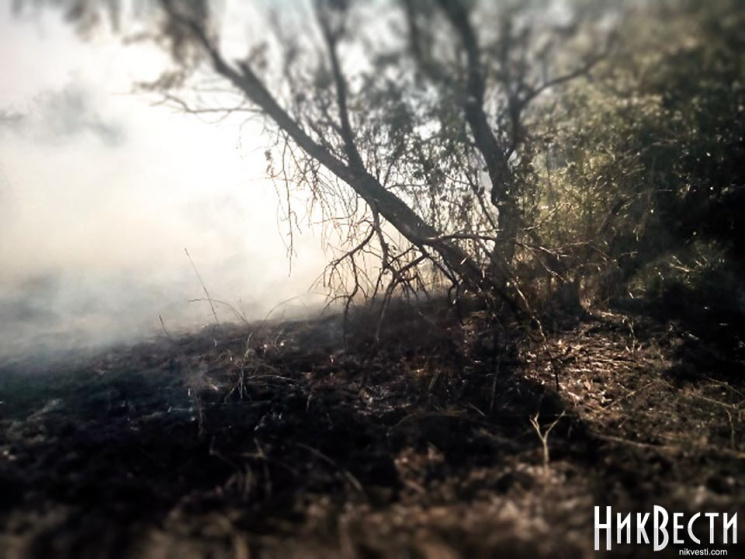 На Миколаївщині у заповідній зоні пожежа…