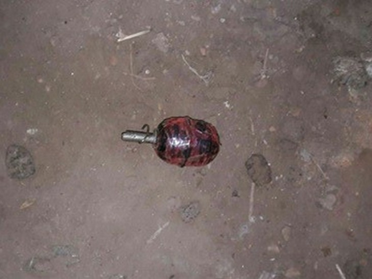 На Полтавщине в доме нашли гранату…