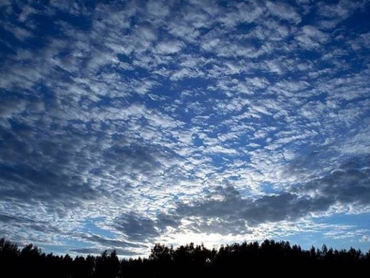 Сухо та хмарно: На Сумщині досі панує "н…