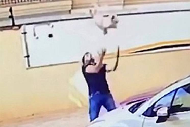 Epic win: Бразилец поймал собаку, котора…