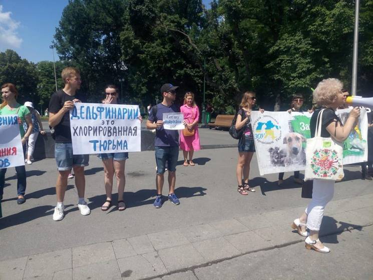 В центре Харькова зоозащитники требуют з…