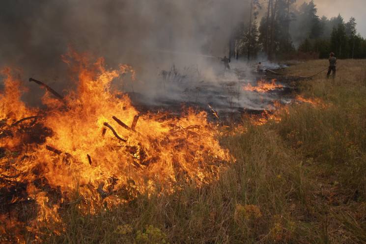 На Харківщині вогонь нищить ліси та поля…