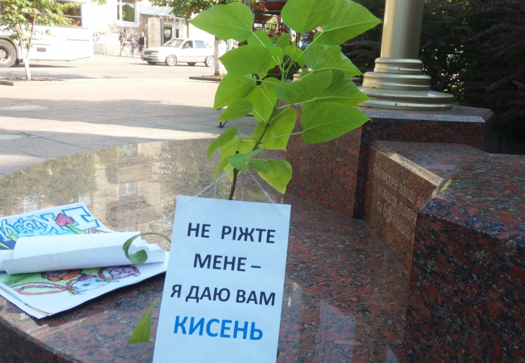 Під мерією Кропивницького протестували п…