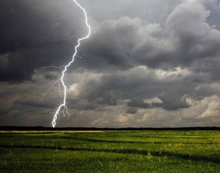 На Харківщині оголосили штормове поперед…