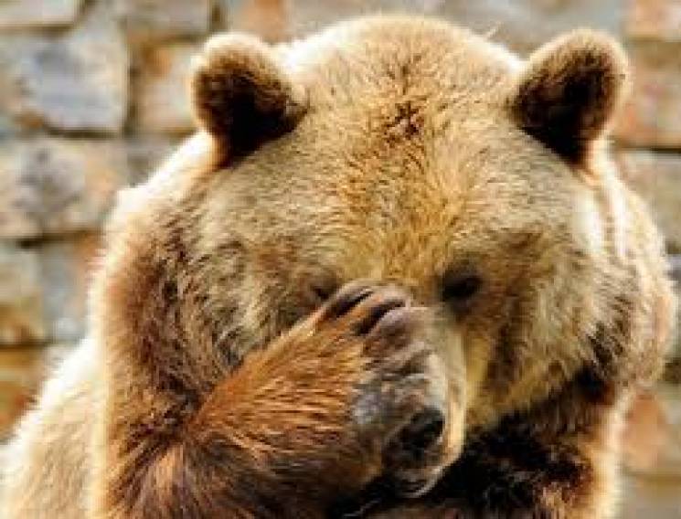 ФСБ хоче зробити з ведмедів стратегічний…