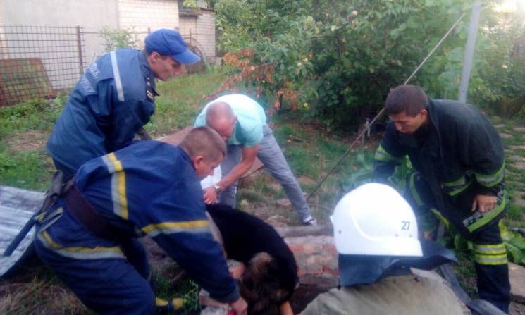 На Дніпропетровщині рятувальники витягли…