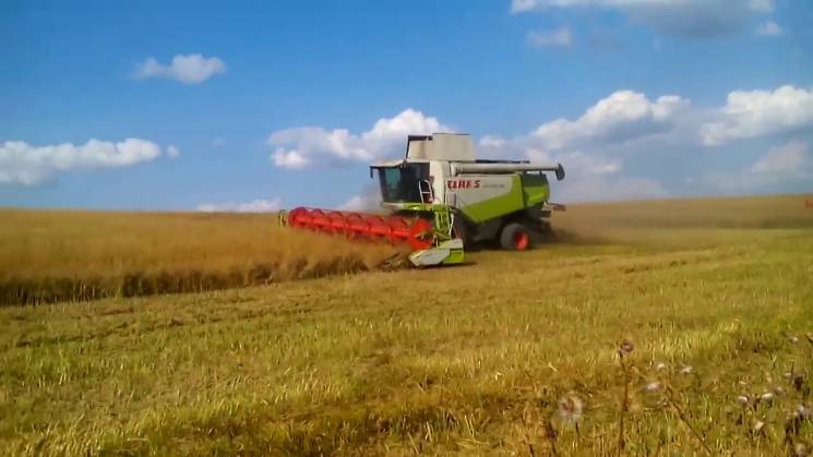 Аграрії на Хмельниччині майже зібрали рі…