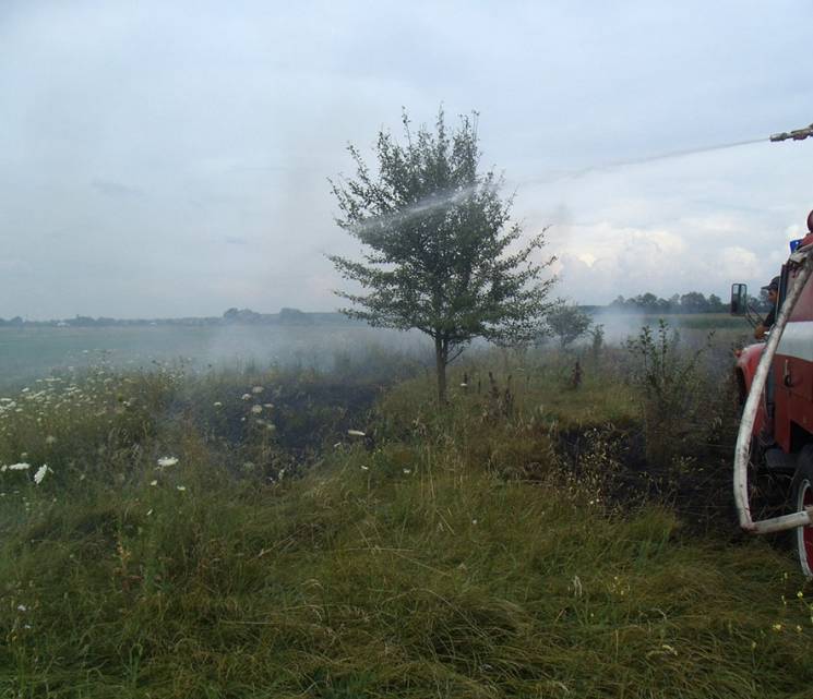 На Полтавщині вигоріло близько гектара о…