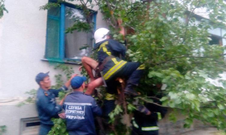 В Павлограде мужчина упал с балкона (ФОТ…