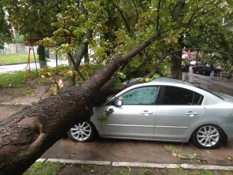 У Хмельницькому дерево придавило "Мазду"…