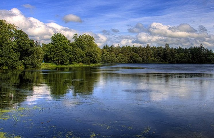 Дно озера в Славянске усеяно сотнями тру…