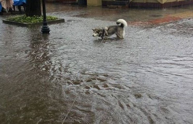 Вулиці Одеси заливає потужна злива. Міст…