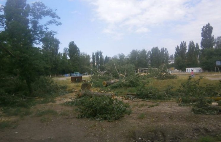 У Миколаєві знову вирубили живі дерева…