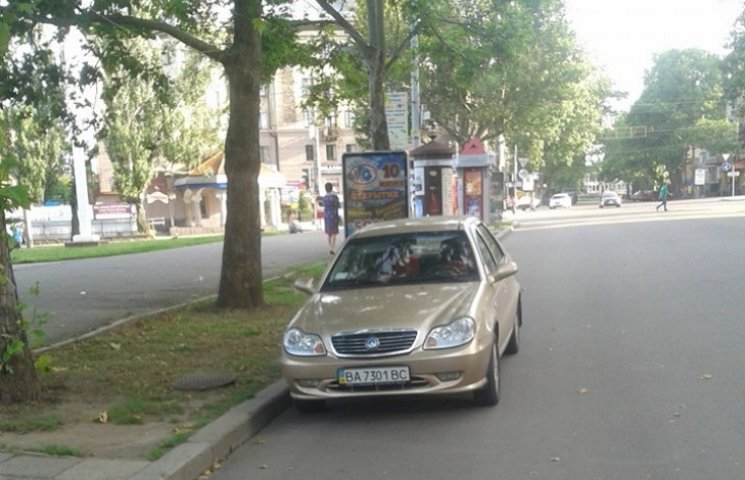 У Миколаєві водій, що колесив пішохідною…