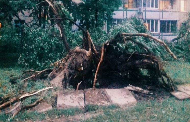 В Каменском ураган валил деревья и билбо…