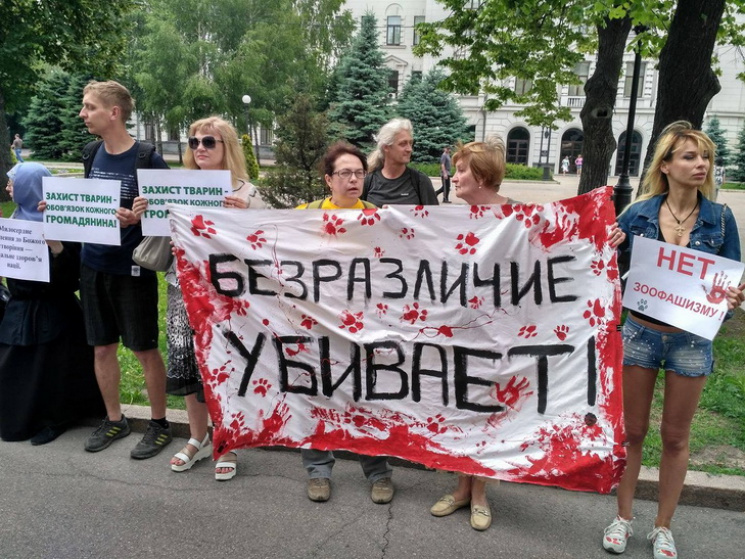 Дніпровські зооактивісти обіцяють "добит…