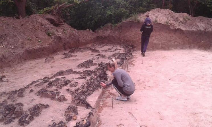 На Черкащині археологи розкопали давню ф…