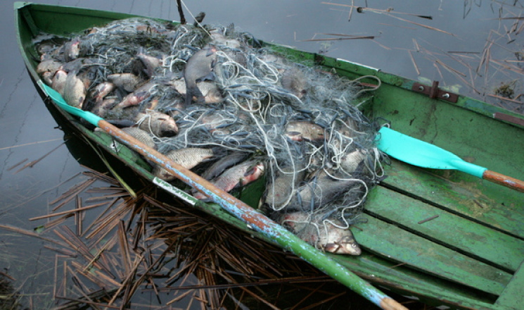 На Харківщині риболовля обійдеться брако…