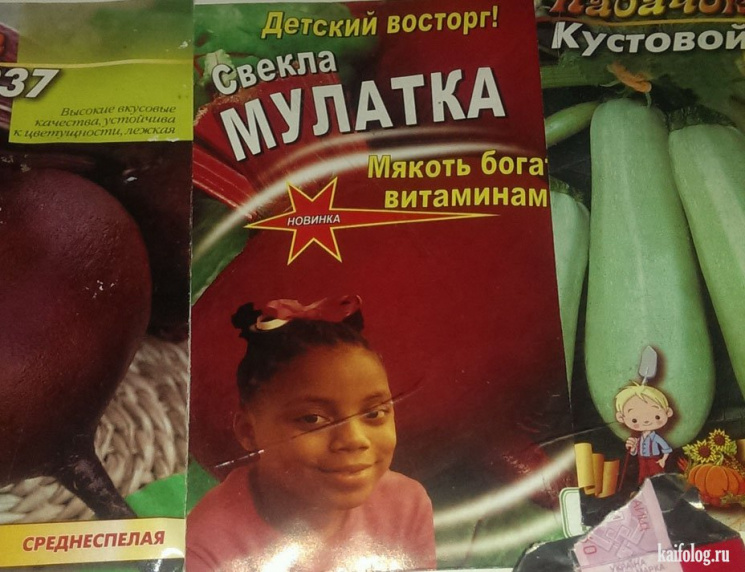 Екзотика на грядці, або Як виростити кав…