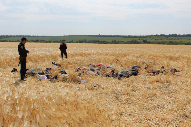 Чем жила Украина: "Титушки" в сене, слоб…