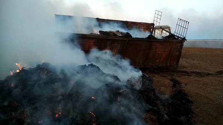 На Херсонщині згоріли п&#039;ять гектарі…