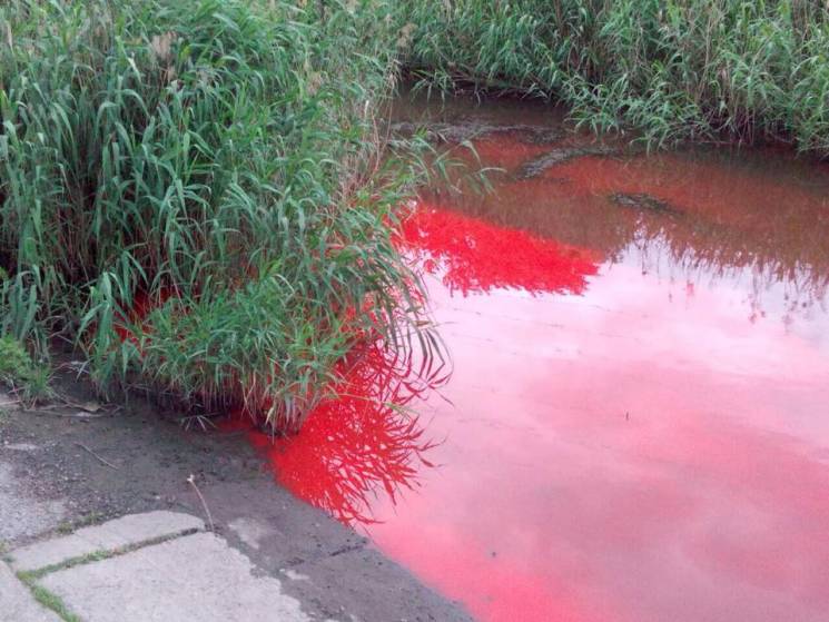 У Запоріжжі річка почервоніла від скидан…