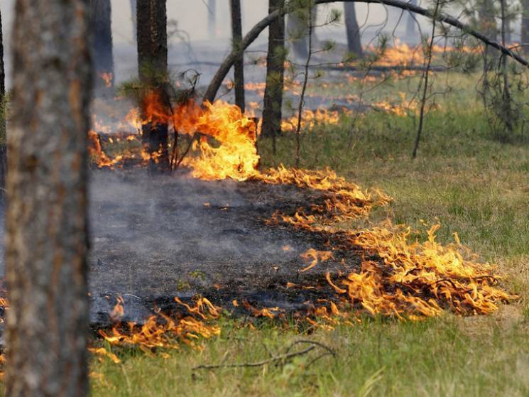 На Дніпропетровщині подовжили стан пожеж…