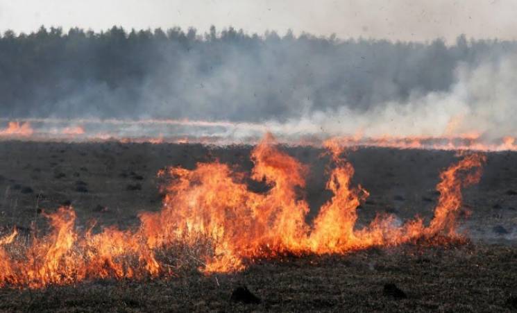 На Вінниччині знову горять поля…
