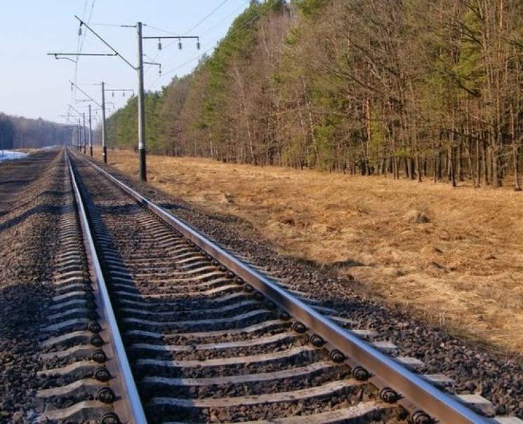 У селі під Вінницею чоловіка збив поїзд…