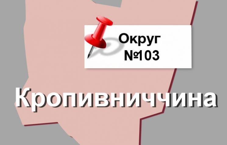 Округ №103: Родинна бізнес-імперія губернатора Кропивниччини