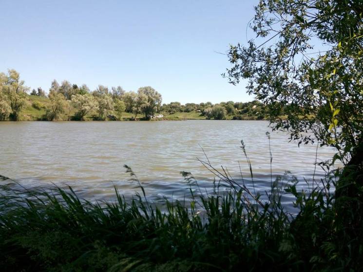 В Полтаве на пруду утонул 37-летний мужч…