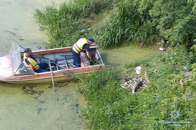 На річці Смотрич загинули тисячі рибин…