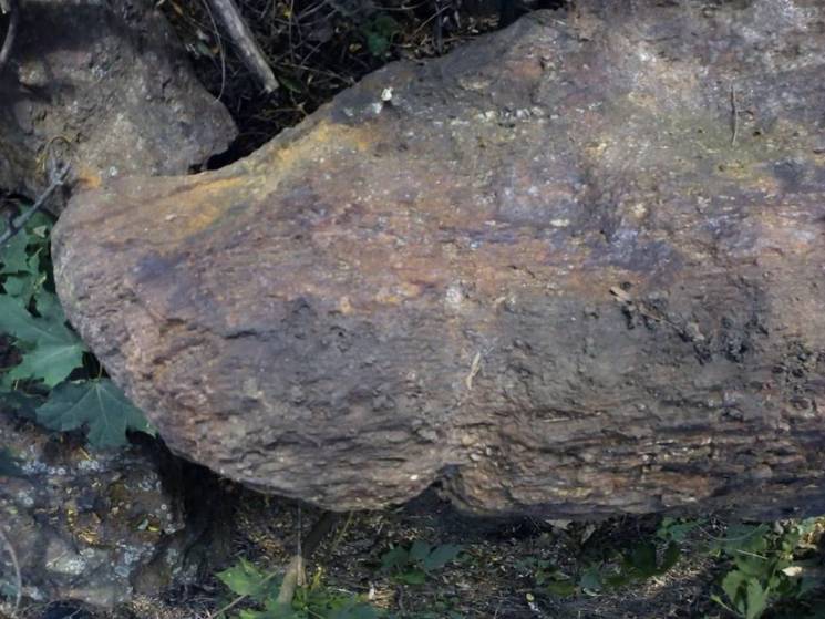 На Дніпропетровщині археологи знайшли но…