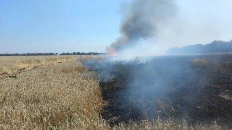 На Одещині пожежа знищила 20 гектарів зе…