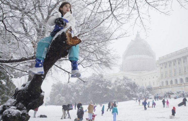 Снегопад сковал Вашингтон: отменены сотн…